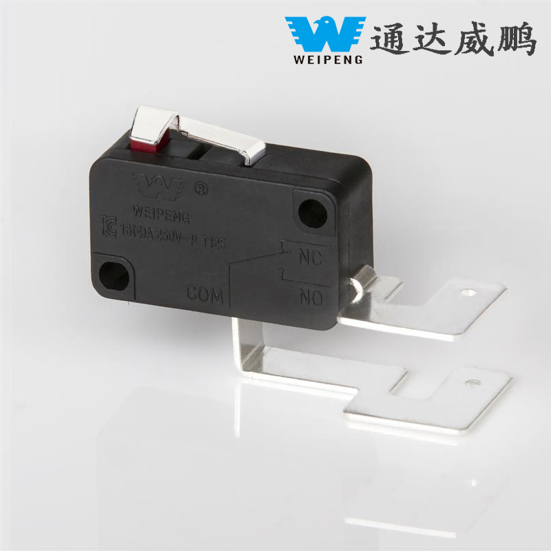 16A/21A Burdinazko Pin/Kobrezko Pin Korronte handiko Mikro Switch