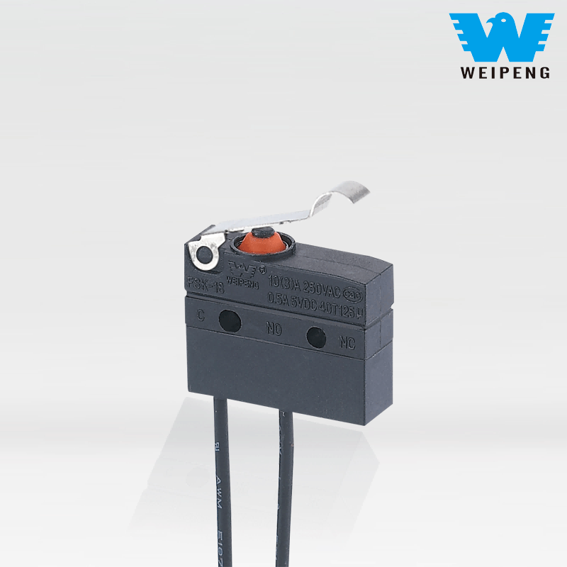 Autoa Berrezarri Iragazgaitza Mikro Switch